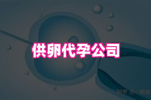 武汉助孕网站 1