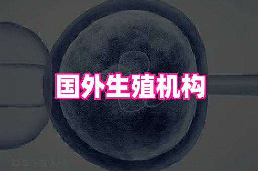武汉助孕网站 2