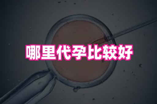 武汉助孕网站 4